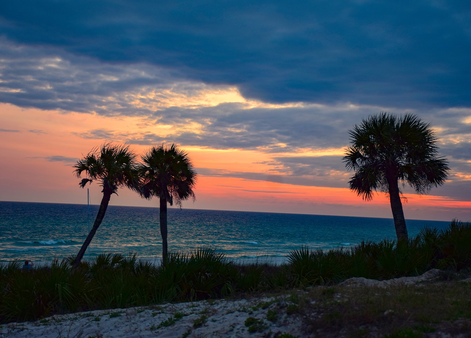 Sunset over the Gulf of Mexico with palm trees on the dunes in Panama City Beach, Florida